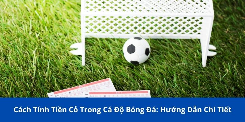 cach tinh tien co trong ca do bong da 1